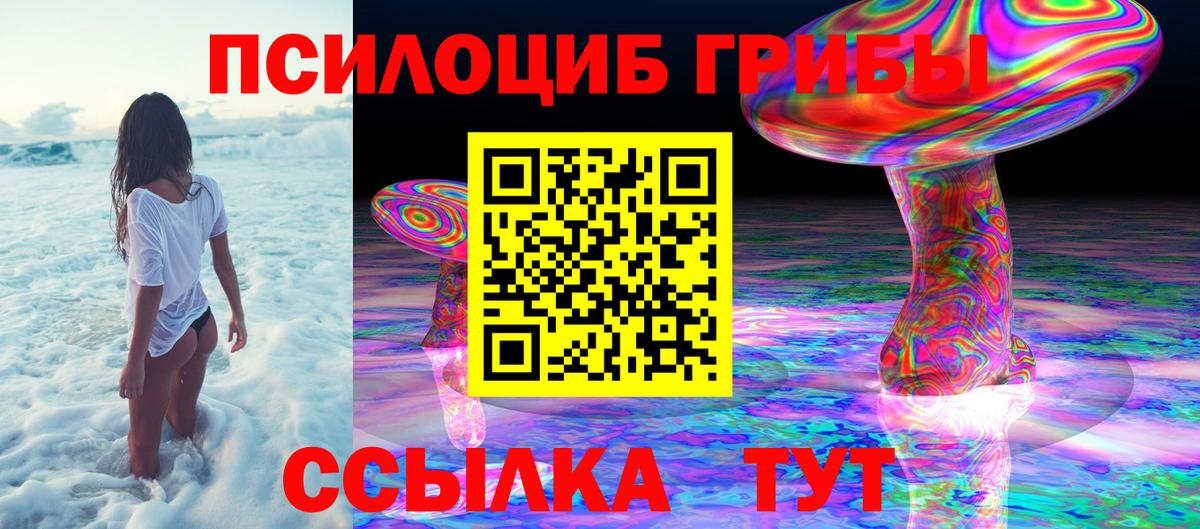 Мурино  Псилоцибиновые грибы Cubensis  Галлюциногенные грибы Magic Shrooms  Вход с VPN 